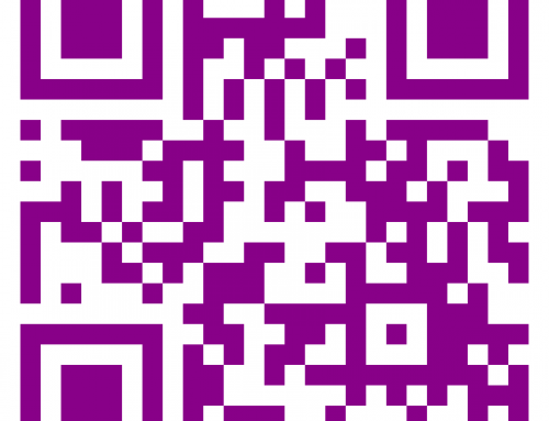 Social Media Services | A Mojo Primer